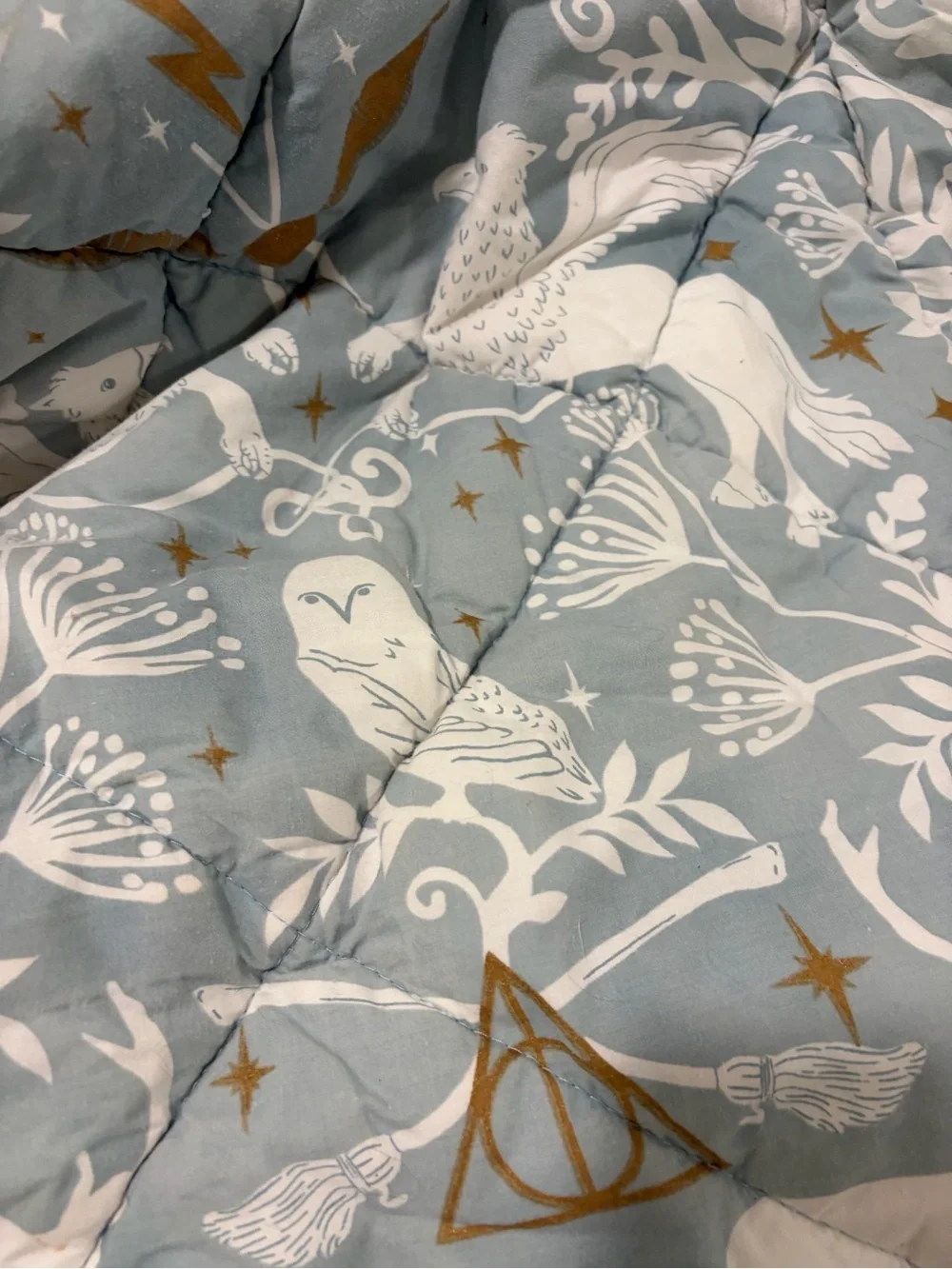 Pottery Barn Teen Harry Potter Magical Damask Twin Comforter